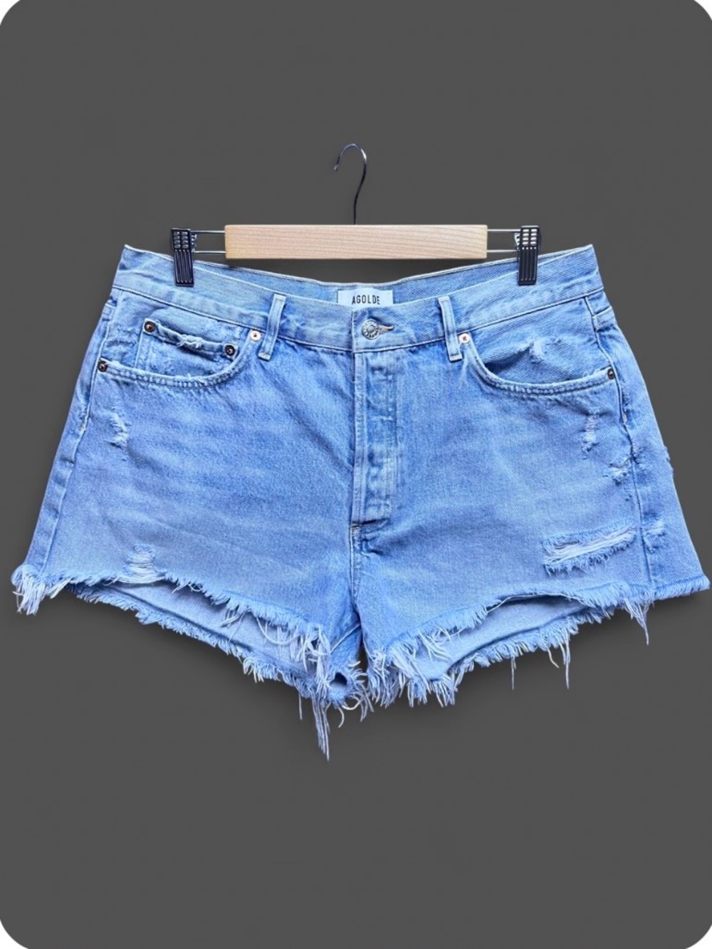 AGOLDE Parker Vintage Cut Off Shorts 32 Swapmeet Distressed High Rise Raw Hem
